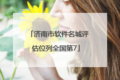 济南市软件名城评估位列全国第7