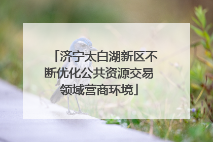 济宁太白湖新区不断优化公共资源交易领域营商环境