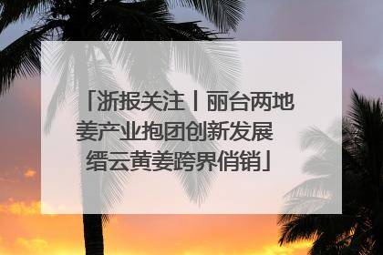 浙报关注丨丽台两地姜产业抱团创新发展 缙云黄姜跨界俏销