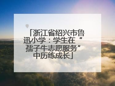 浙江省绍兴市鲁迅小学：学生在“孺子牛志愿服务”中历练成长