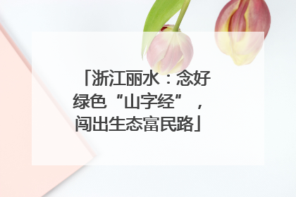 浙江丽水：念好绿色“山字经”，闯出生态富民路