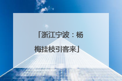 浙江宁波：杨梅挂枝引客来