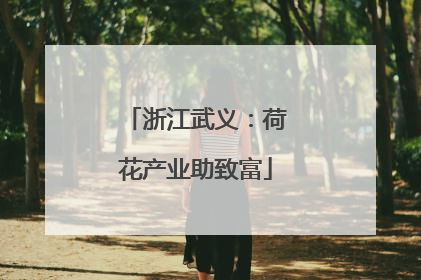 浙江武义：荷花产业助致富