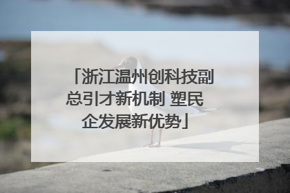 浙江温州创科技副总引才新机制 塑民企发展新优势