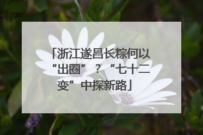 浙江遂昌长粽何以“出圈”？“七十二变”中探新路