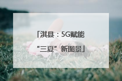 淇县：5G赋能“三夏”新图景