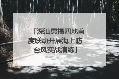 深汕惠揭四地首度联动开展海上防台风实战演练