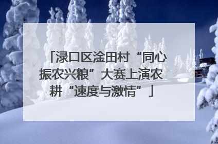 渌口区淦田村“同心振农兴粮”大赛上演农耕“速度与激情”