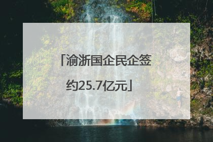 渝浙国企民企签约25.7亿元