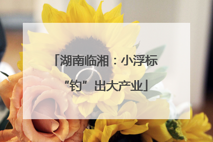 湖南临湘：小浮标“钓”出大产业