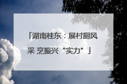 湖南桂东：展村厨风采 烹振兴“实力”