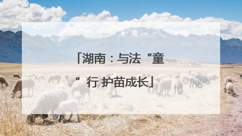 湖南：与法“童”行 护苗成长