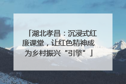 湖北孝昌：沉浸式红廉课堂，让红色精神成为乡村振兴“引擎”