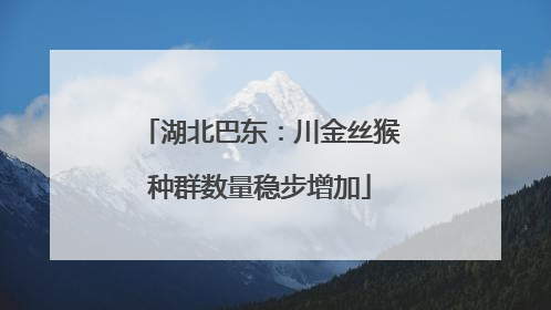 湖北巴东：川金丝猴种群数量稳步增加