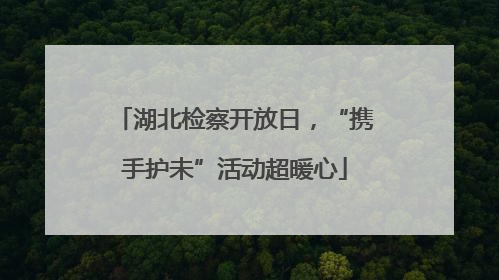 湖北检察开放日，“携手护未”活动超暖心
