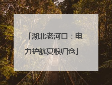 湖北老河口：电力护航夏粮归仓