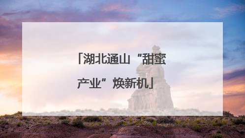 湖北通山“甜蜜产业”焕新机