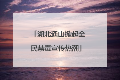 湖北通山掀起全民禁毒宣传热潮