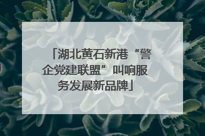湖北黄石新港“警企党建联盟”叫响服务发展新品牌