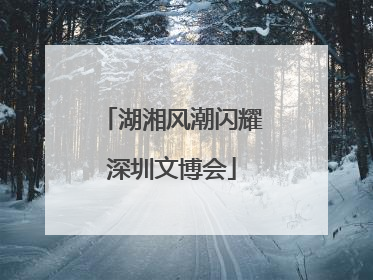 湖湘风潮闪耀深圳文博会