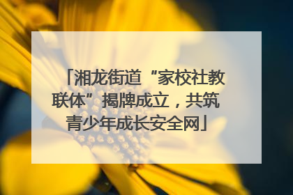 湘龙街道“家校社教联体”揭牌成立，共筑青少年成长安全网