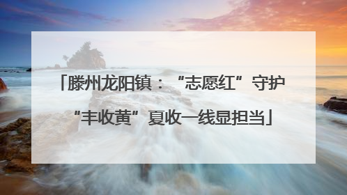滕州龙阳镇：“志愿红”守护“丰收黄”夏收一线显担当