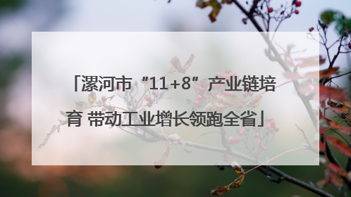 漯河市“11+8”产业链培育 带动工业增长领跑全省