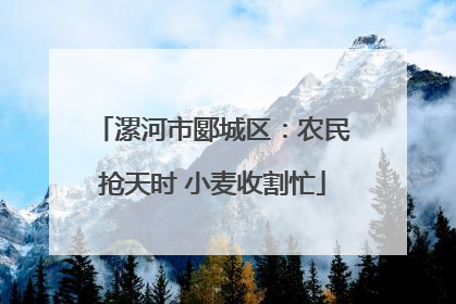 漯河市郾城区：农民抢天时 小麦收割忙