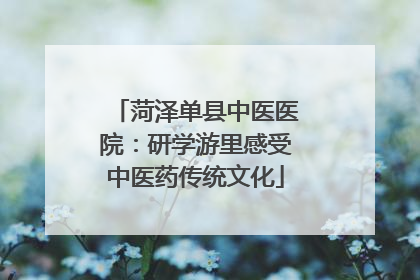 菏泽单县中医医院：研学游里感受中医药传统文化
