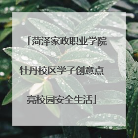 菏泽家政职业学院牡丹校区学子创意点亮校园安全生活