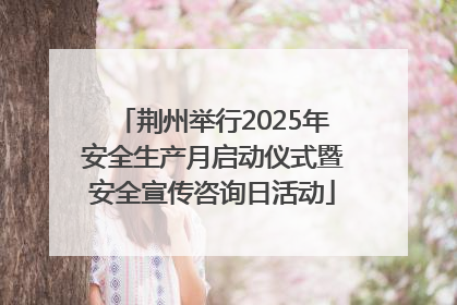 荆州举行2025年安全生产月启动仪式暨安全宣传咨询日活动