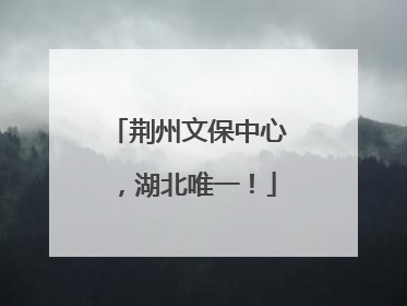 荆州文保中心，湖北唯一！
