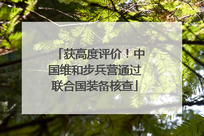 获高度评价！中国维和步兵营通过联合国装备核查