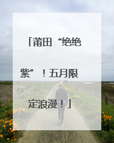 莆田“绝绝紫”！五月限定浪漫！