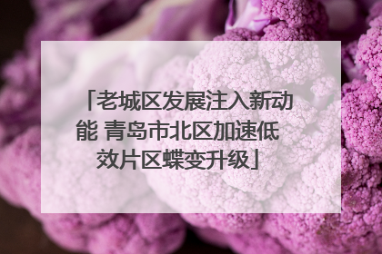 老城区发展注入新动能 青岛市北区加速低效片区蝶变升级