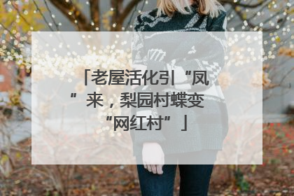 老屋活化引“凤”来，梨园村蝶变“网红村”