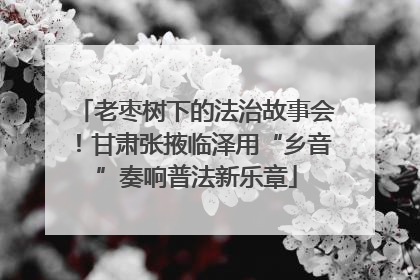 老枣树下的法治故事会！甘肃张掖临泽用“乡音”奏响普法新乐章