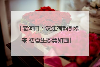 老河口：汉江荷韵引翠来 初夏生态美如画