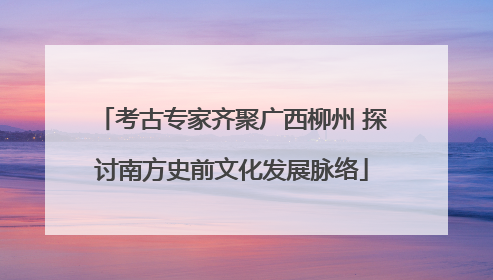 考古专家齐聚广西柳州 探讨南方史前文化发展脉络