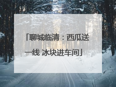 聊城临清：西瓜送一线 冰块进车间