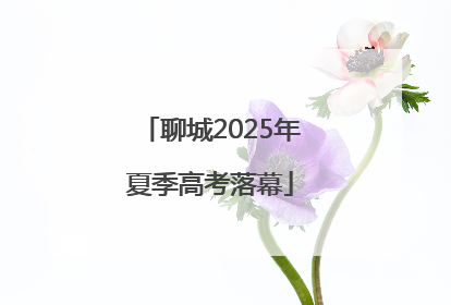 聊城2025年夏季高考落幕