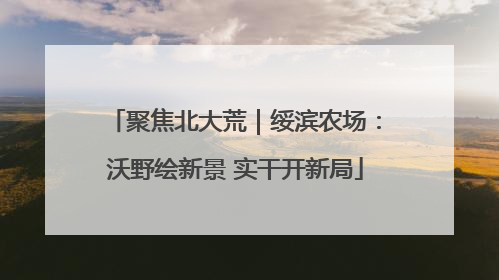 聚焦北大荒｜绥滨农场：沃野绘新景 实干开新局