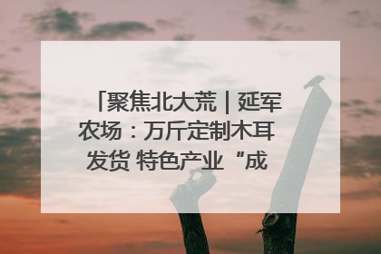 聚焦北大荒｜延军农场：万斤定制木耳发货 特色产业“成绩单”亮眼