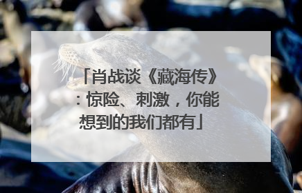 肖战谈《藏海传》：惊险、刺激，你能想到的我们都有