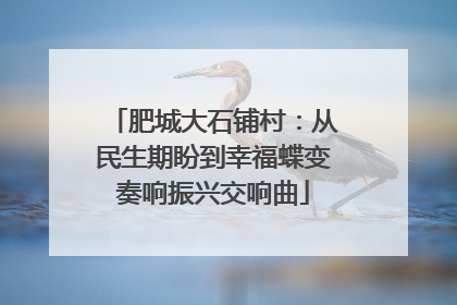 肥城大石铺村：从民生期盼到幸福蝶变奏响振兴交响曲