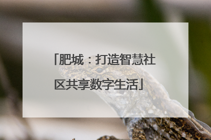 肥城：打造智慧社区共享数字生活