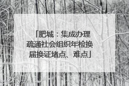 肥城：集成办理 疏通社会组织年检换届换证堵点、难点