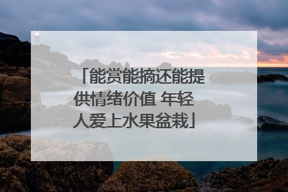 能赏能摘还能提供情绪价值 年轻人爱上水果盆栽