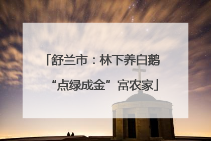 舒兰市：林下养白鹅 “点绿成金”富农家