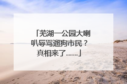 芜湖一公园大喇叭辱骂遛狗市民？真相来了……